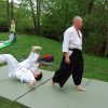 Aikido, klasična tehnika